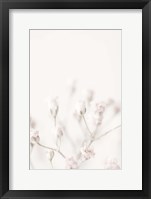 Framed Pink Small Flowers