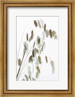 Framed Dried Grass Natural
