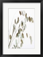 Framed Dried Grass Natural