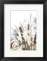 Framed Grass