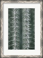 Framed Cactus Green
