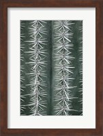 Framed Cactus Green