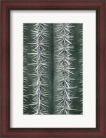 Framed Cactus Green