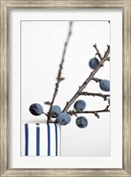 Framed Berries Blue
