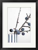 Framed Berries Blue