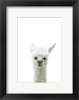 Framed Llama