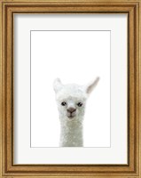 Framed Llama