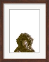 Framed Dog