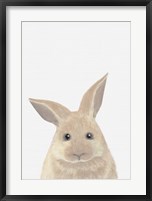 Framed Rabbit