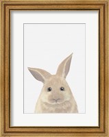 Framed Rabbit