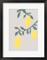 Framed Lemons