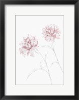 Framed Peony 3