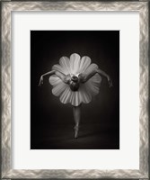 Framed Floral Ballet