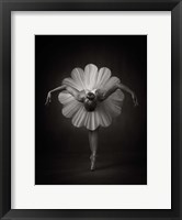 Framed Floral Ballet