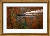 Framed Museum Train