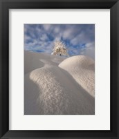 Framed Curves of a Winter Landscape