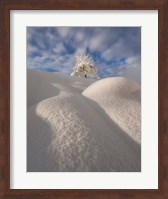 Framed Curves of a Winter Landscape