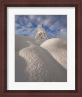 Framed Curves of a Winter Landscape