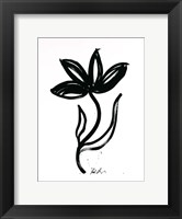 Framed Inked Florals II