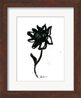 Framed Inked Florals III