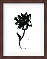 Framed Inked Florals III