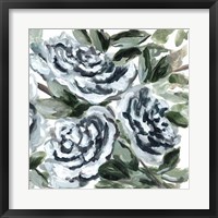 Framed Shadowed Blue Roses II