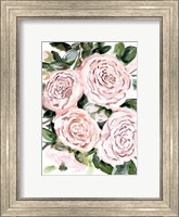 Framed Gentle Roses Pink