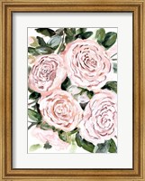 Framed Gentle Roses Pink