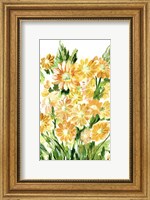 Framed Daisies in Yellow
