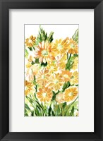 Framed Daisies in Yellow