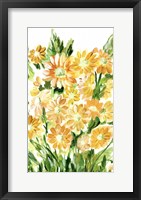 Framed Daisies in Yellow