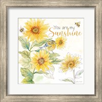 Framed 'Be My Sunshine IV' border=