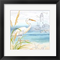 By the Seashore II Framed Print