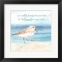 By the Seashore X Framed Print