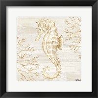 Calm Shores III Framed Print