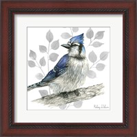 Framed Backyard Birds I-Blue Jay