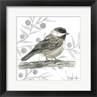 Framed Backyard Birds II-Chickadee