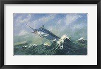 Framed Blue Marlin