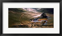 Framed Nothing But Net - Brook Trout
