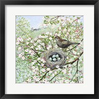Framed Blossom and Blackbird