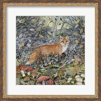 Framed Fox and Toadstools