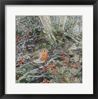 Framed Robin, Frost and Berries