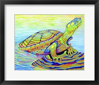 Framed Painted Turtle