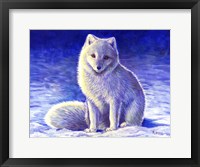 Framed Peaceful Winter Arctic Fox