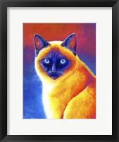 Framed Colorful Siamese Cat
