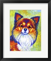 Framed Longhaired Chihuahua