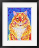 Framed Orange Buff Tabby Cat