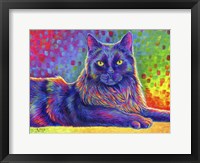 Framed Psychedelic Rainbow Black Cat
