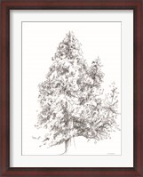 Framed Whispering Pines 1