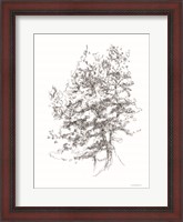 Framed Whispering Pines 2
